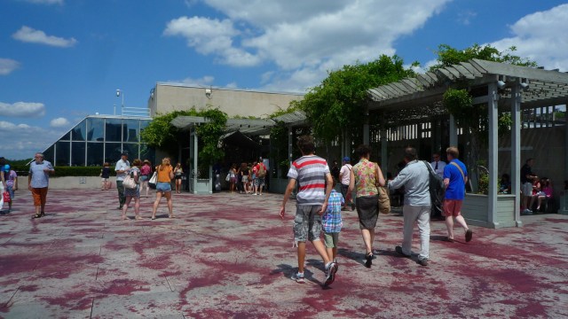 Imran Qureshi, rooftop commission, The Metropolitan Museum of Art, 2013. Photograph © 2013 Kathleen MacQueen.