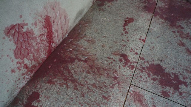 Imran Qureshi, rooftop commission, The Metropolitan Museum of Art, 2013. Photograph © 2013 Kathleen MacQueen.