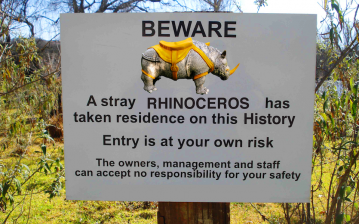 akademiaruchu-359x225