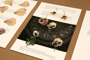 “Camille Henrot: The Restless Earth,” New Museum, 2014. Courtesy New Museum, New York. Photo: Benoit Pailley.