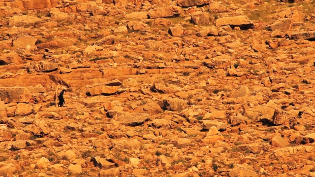 Noor Abed, We Both Know (2013), video still. Courtesy of the artist and TransborderArt, New York.